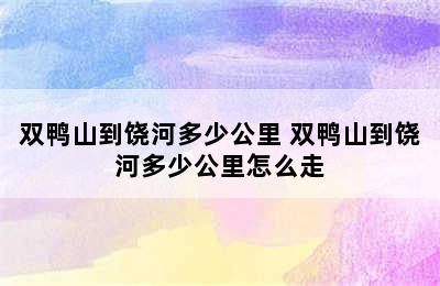 双鸭山到饶河多少公里 双鸭山到饶河多少公里怎么走